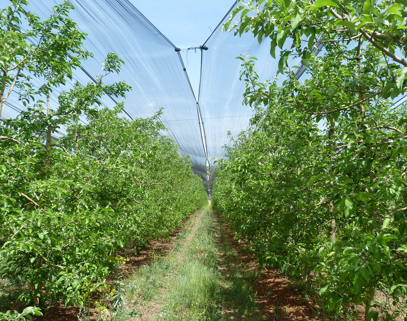 Zalar Agri engagement Protection de l'environnement