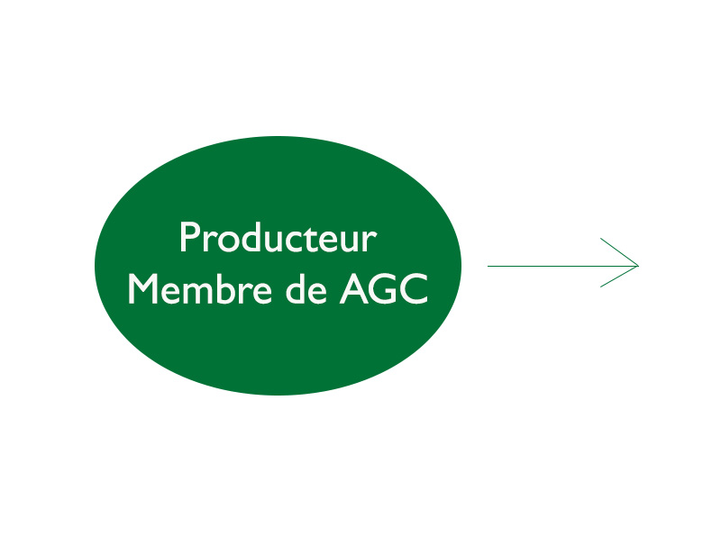 African Growers Cooperative