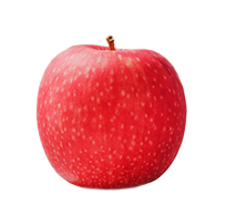 Apple morocco