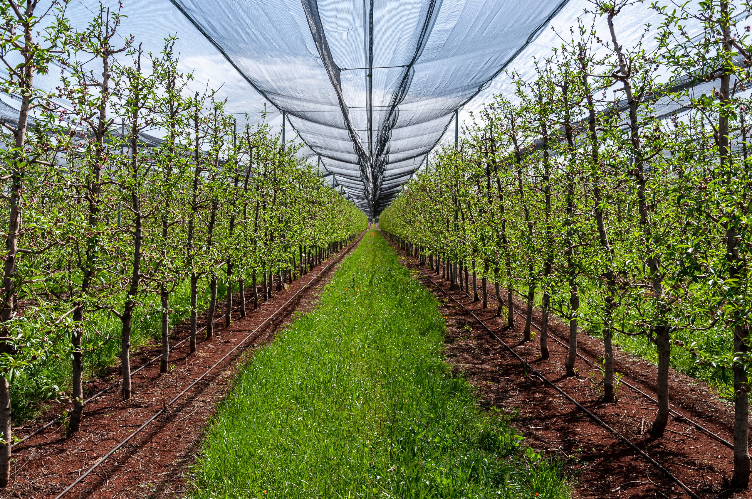 Protection de l'environnement