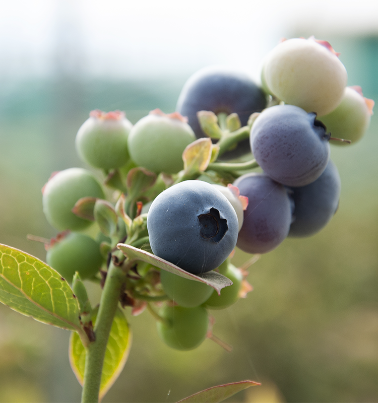 Qualité des produits Zalar Agri