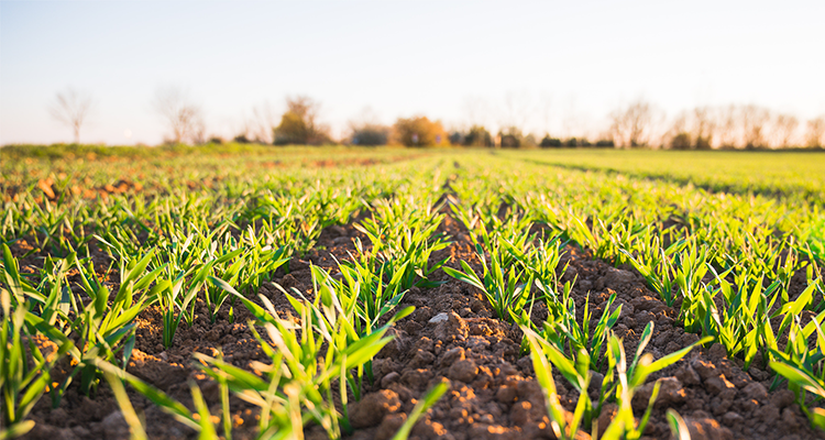 zalar agri dimensionss Zalar Agri