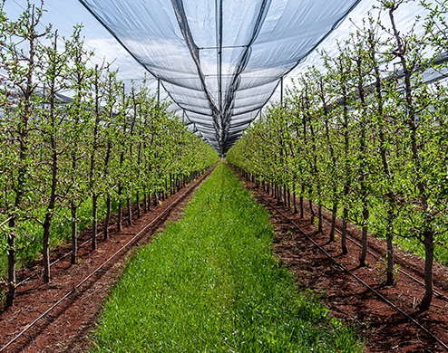 Environnement Zalar Agri